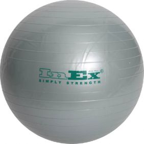 Мяч гимнастический INEX Swiss Ball 65 см.